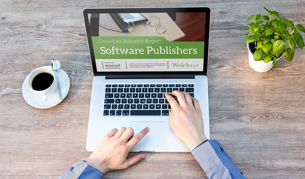 Software Industry Report